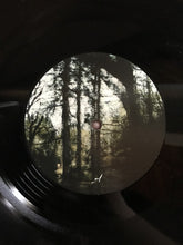 Aquilus (2) : Arbor (12", EP)